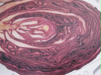 rotkohl