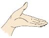 hand