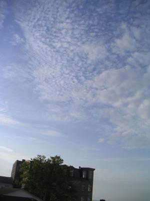 Dach