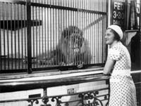 blackpool-zoo