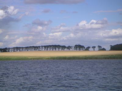 fjordwolken