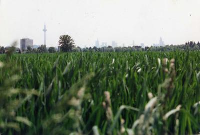 nordi2006