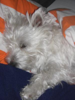 Heute bin ich nur müde!