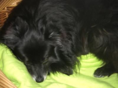 An meinem ersten Tag war ich noch ganz schön ängstlich, aber doch geborgen.