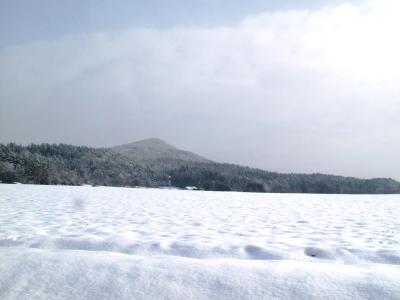 Winterzauber in der Waldheimat