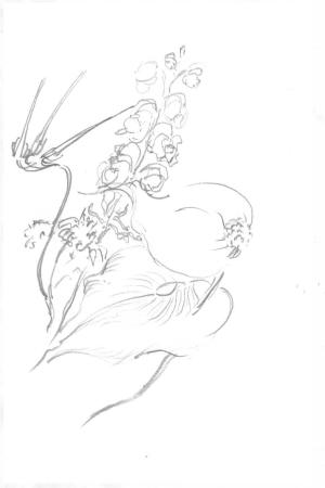 Bleistiftzeichnung Bleistiftzeichnung