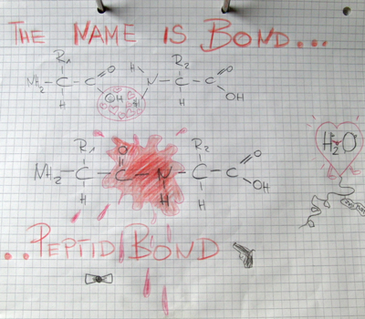 peptidbond