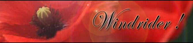 WindriderBanner