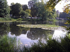 k-Bretschneider_Park_280908_13