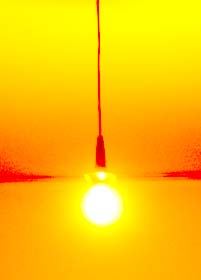 erscheinu-ngsweisen-der-natur