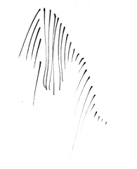 gelungene-gesspraeche2