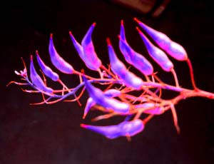 interview-unterricht1