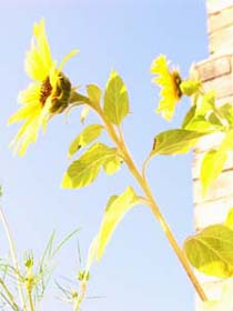 interview-unterricht5