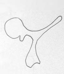 nichts-waechst-in-den-himmel