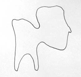 sag-mit-wo-die-blumen-sind