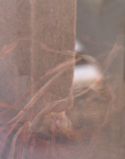 selbst-gefangenschaft