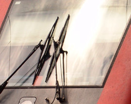 selbstbetimmung-der-natur4