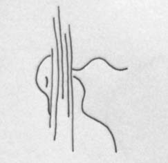 ur20-emotionale-hirnviren