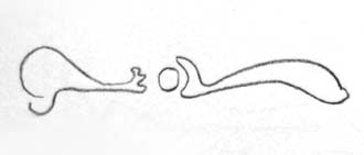 ur25-satz-kontakt-neuronen