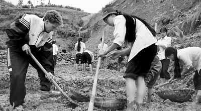 Landarbeit Landarbeit