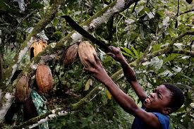 2012-12-26-03-00-02-615221944