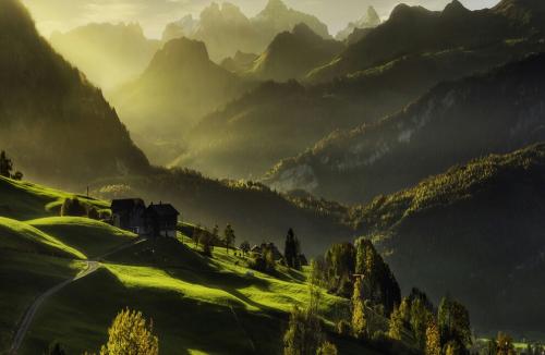 Autumn-Dreams-a29768700-1