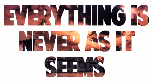 AAAAAAAAAAAAAAAAturtle_1