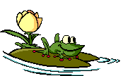 Frosch 1