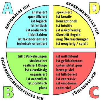 Ned-Hermann-das-Gehirn