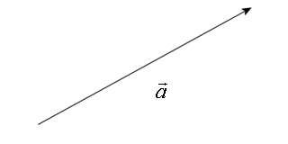 Vektor