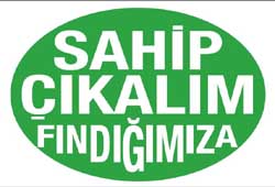 findik
