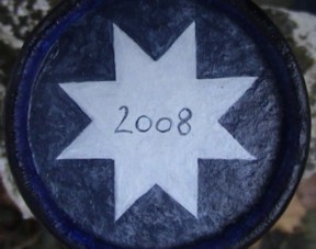 Dose-2008-1