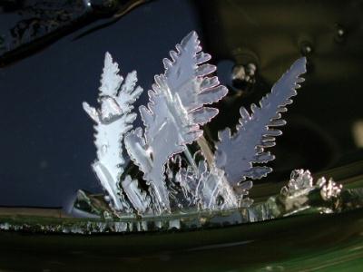 eiskristalle