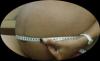 Bauch