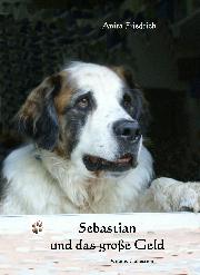 Cover-Sebastian-und-das-grosse-Geld
