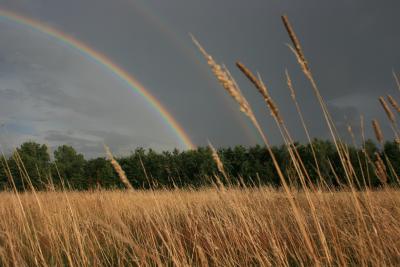 G-Camp-Juli-2009-238