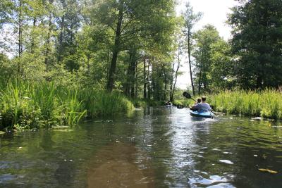 Paddeln-im-Spreewald_05-07-2009-035