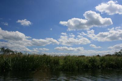 Paddeln-im-Spreewald_05-07-2009-061