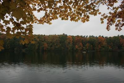 bilder-kamera-13102008-032