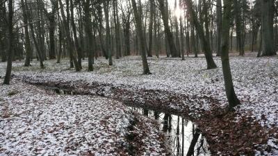 bilder-kamera-29112008-039