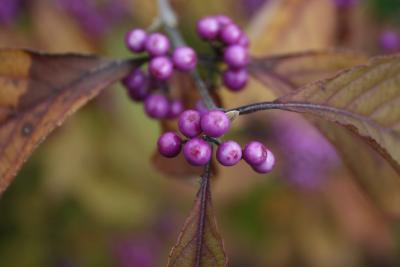 bilder-kamera-komplett-869