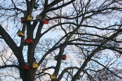 bilder-kamera-kopenhagen-069