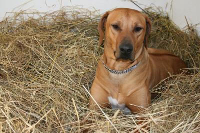 bilder-kamera-nach-weihnachten-193