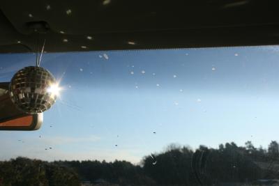 bilder-kamera-nach-weihnachten-238