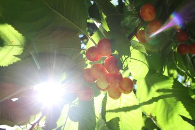 ein-Wochenende-zu-Hause-038