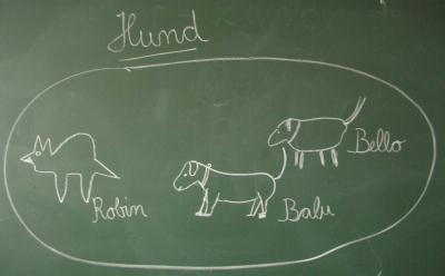 hunde