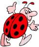 marienkfer