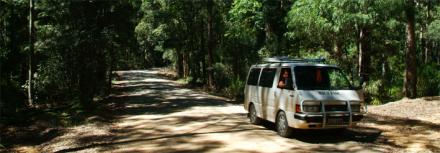 Auto-im-Wald