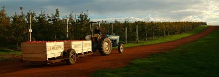 Bunki-mit-Traktor