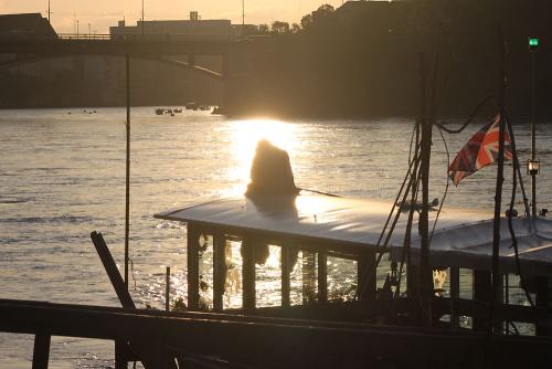 ferryman-time-guards-artbasel-faehrmann-public-art-parcours-contemporary-art-manfred-kielnhofer-st-alban-faehre-wild-maa